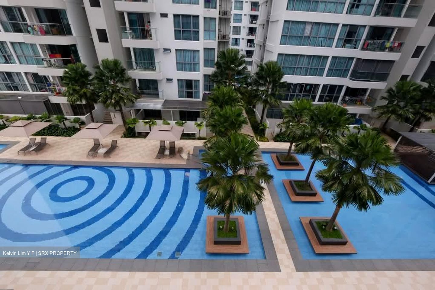 A Treasure Trove (D19), Condominium #574186991